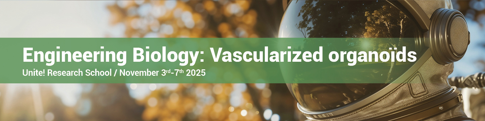Course URS 2025 Engineering biology: Vascularized organoïds